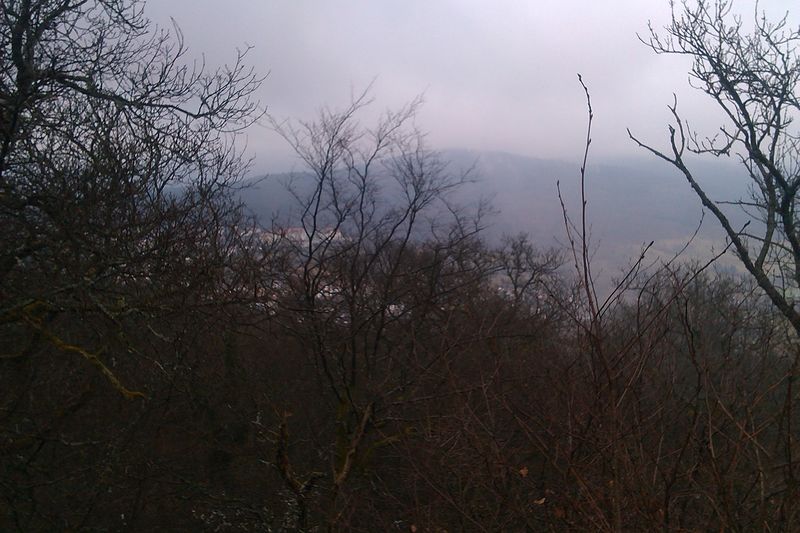 not found: 2_Blick vom Rossert.jpg